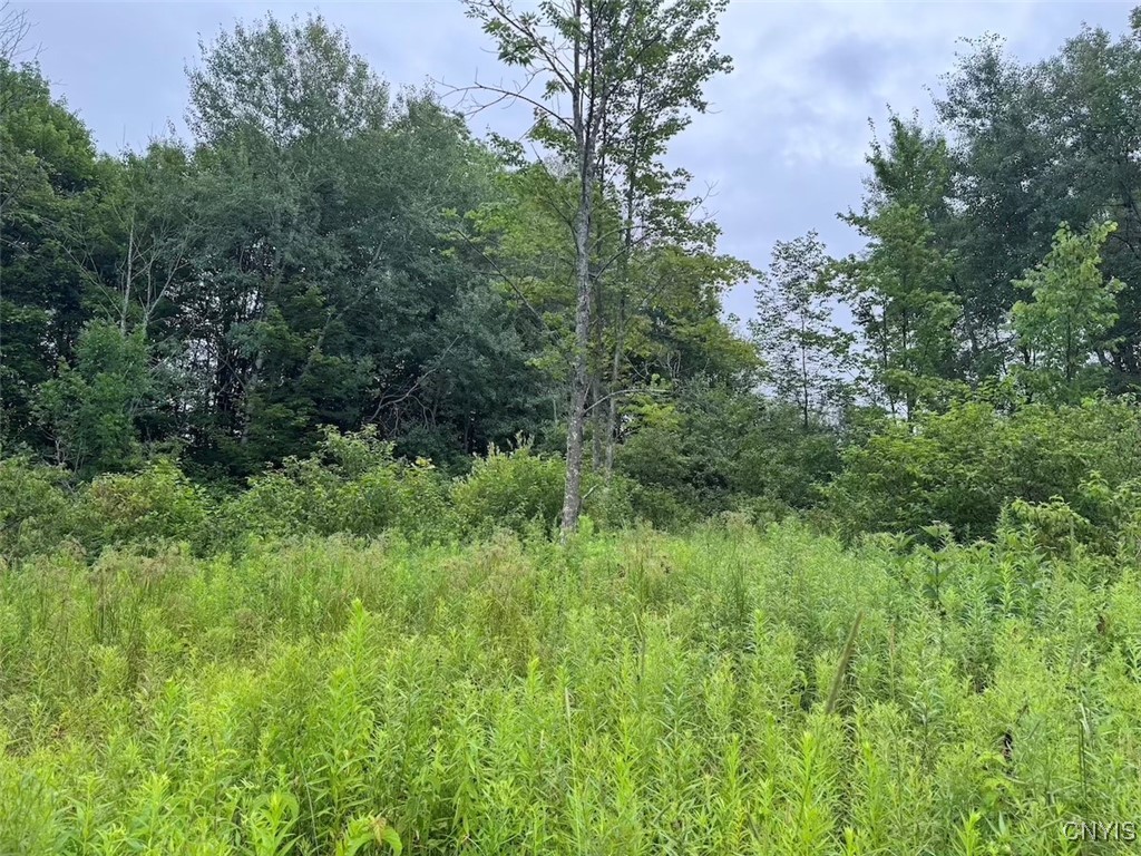 10750 Chapple Stoughton Road Napoli, NY 14772 - Photo 11 of 23