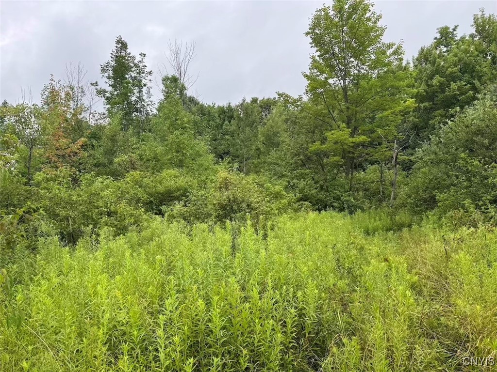 10750 Chapple Stoughton Road Napoli, NY 14772 - Photo 12 of 23