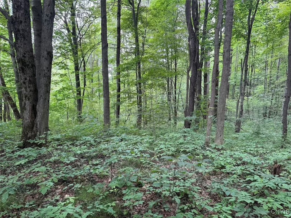 10750 Chapple Stoughton Road Napoli, NY 14772 - Photo 13 of 23