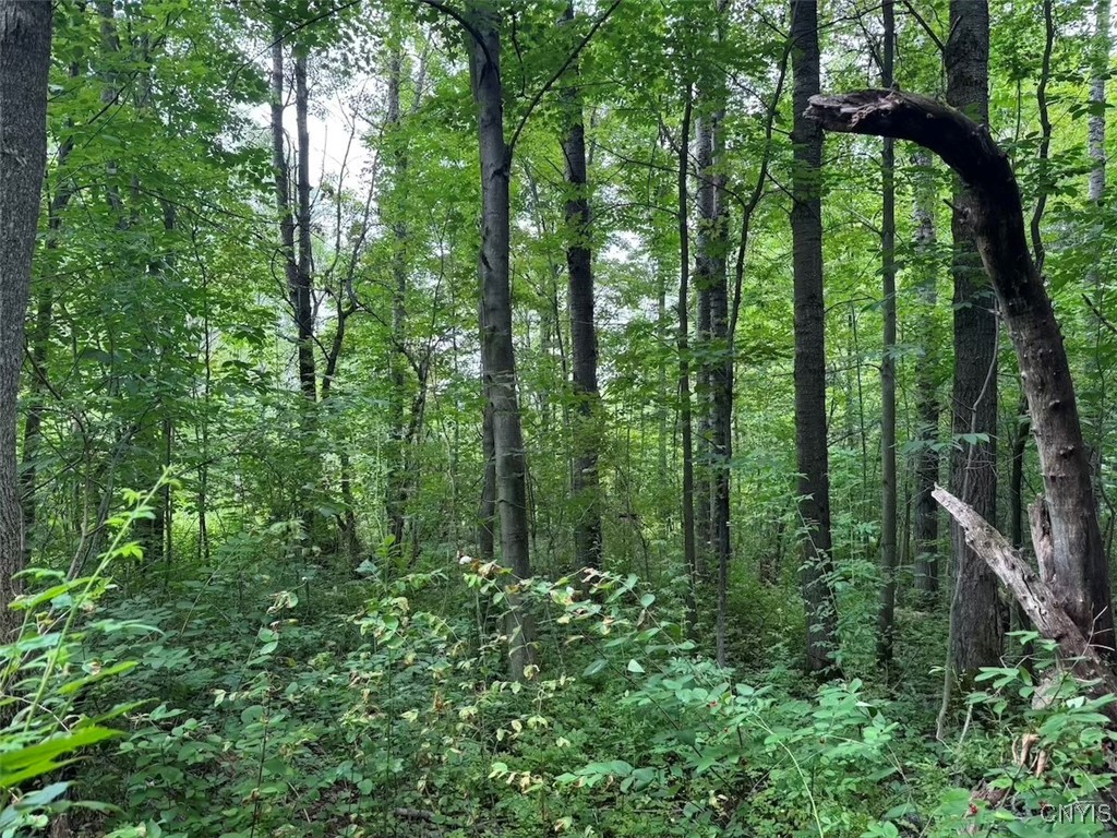 10750 Chapple Stoughton Road Napoli, NY 14772 - Photo 14 of 23