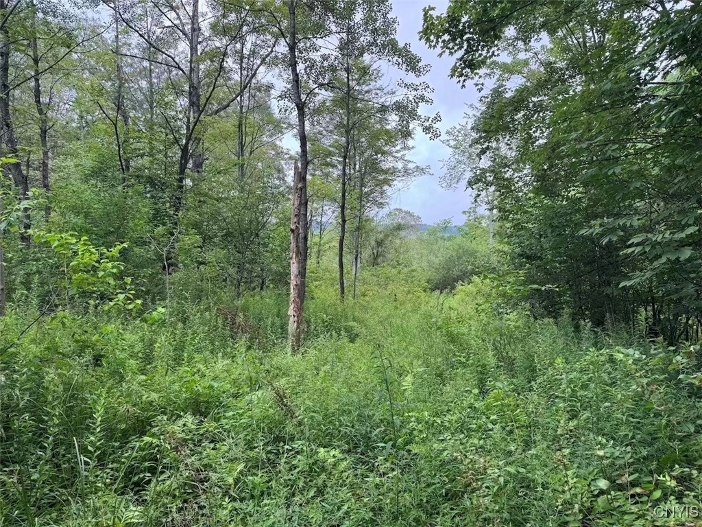 10750 Chapple Stoughton Road Napoli, NY 14772 - Photo 15 of 23