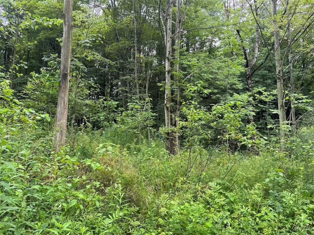 10750 Chapple Stoughton Road Napoli, NY 14772 - Photo 16 of 23