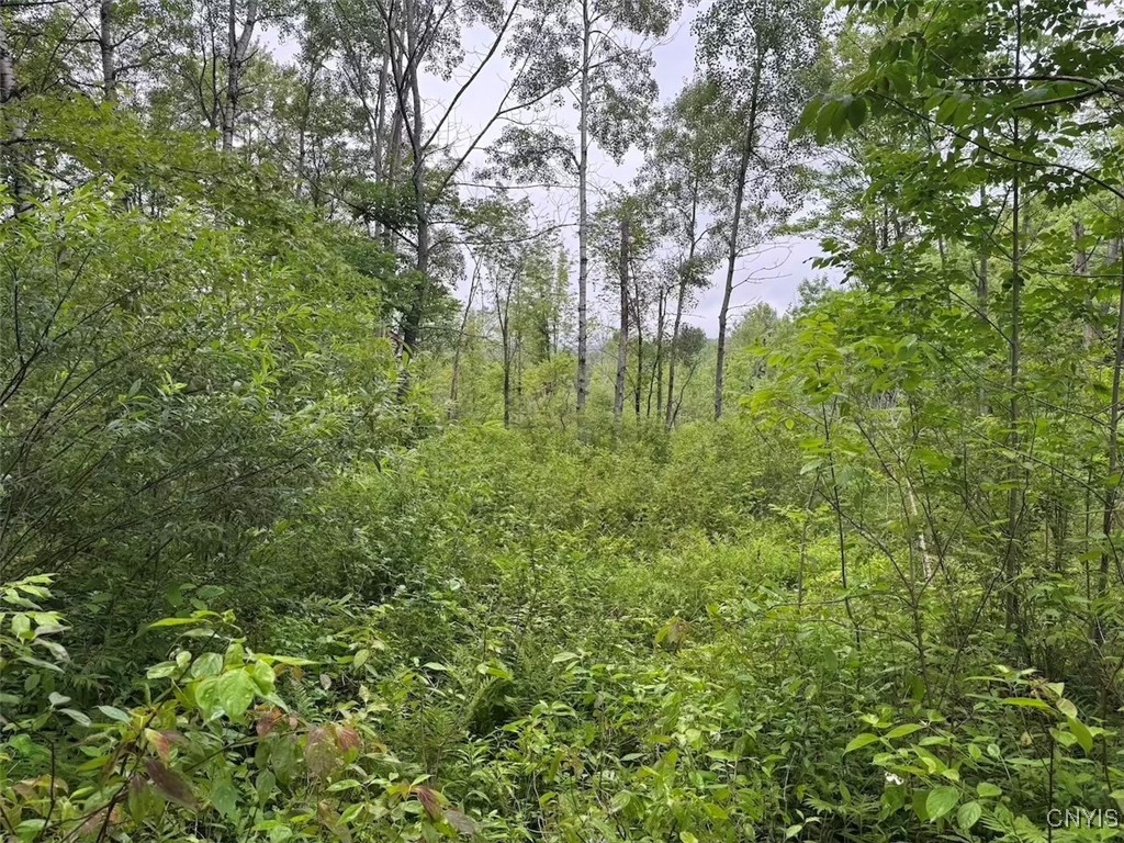 10750 Chapple Stoughton Road Napoli, NY 14772 - Photo 17 of 23