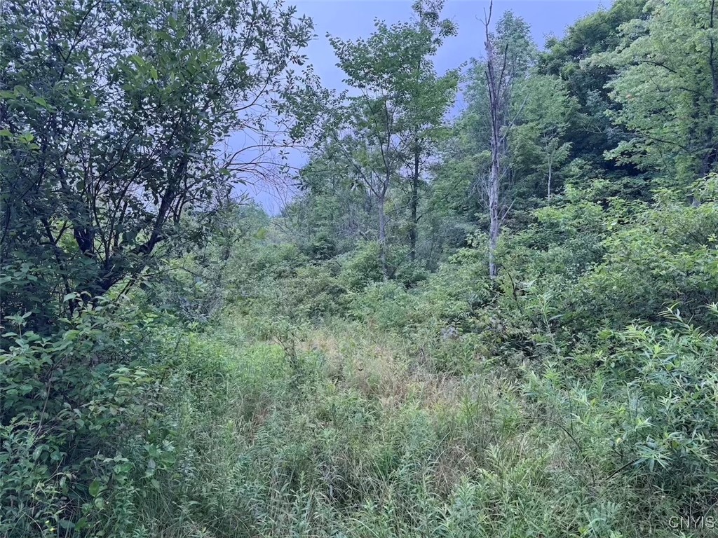 10750 Chapple Stoughton Road Napoli, NY 14772 - Photo 18 of 23