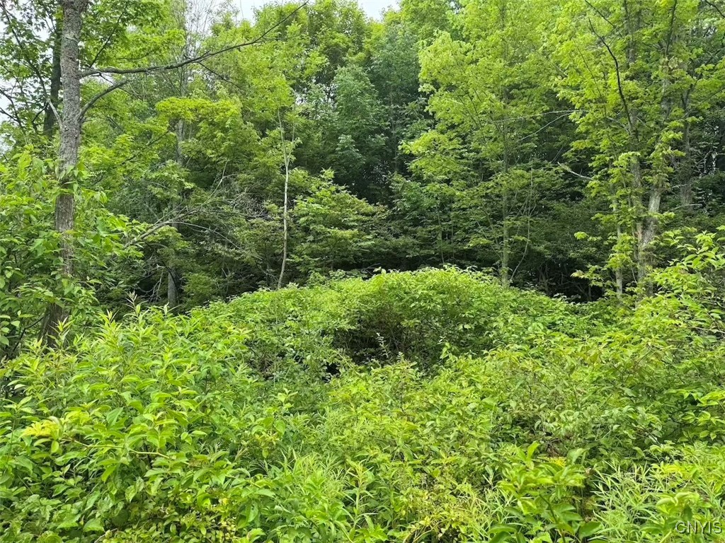 10750 Chapple Stoughton Road Napoli, NY 14772 - Photo 19 of 23