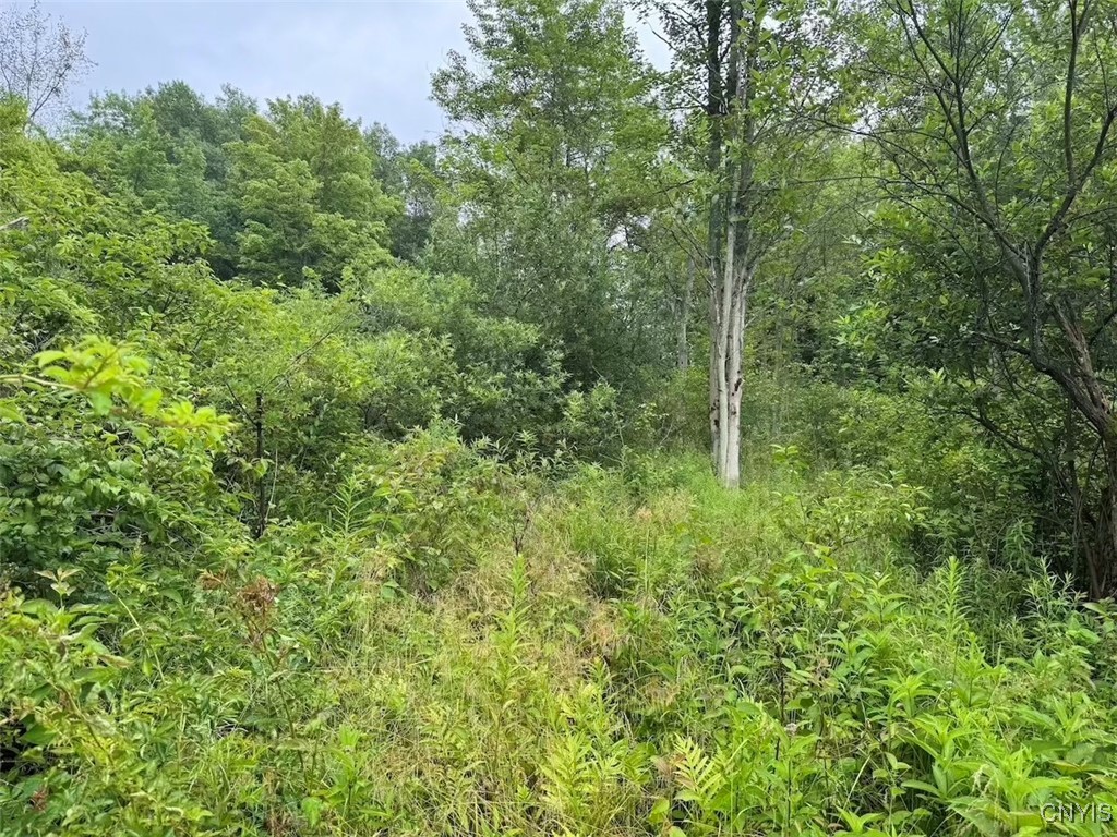 10750 Chapple Stoughton Road Napoli, NY 14772 - Photo 20 of 23