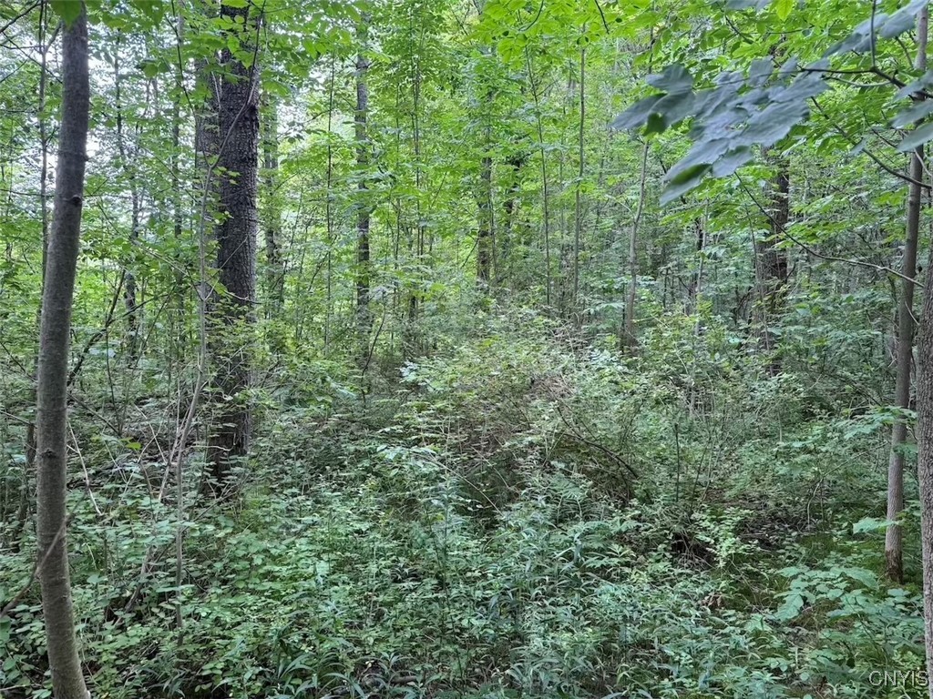 10750 Chapple Stoughton Road Napoli, NY 14772 - Photo 21 of 23