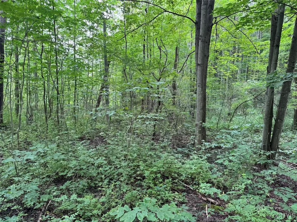 10750 Chapple Stoughton Road Napoli, NY 14772 - Photo 22 of 23