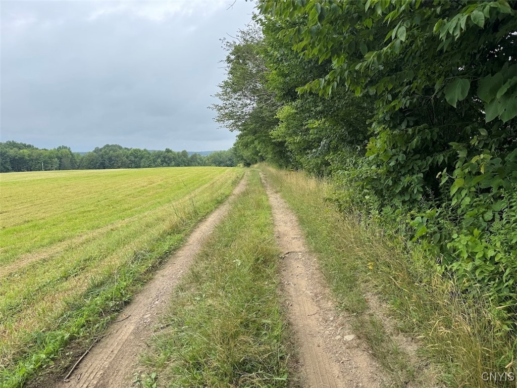 10750 Chapple Stoughton Road Napoli, NY 14772 - Photo 3 of 23