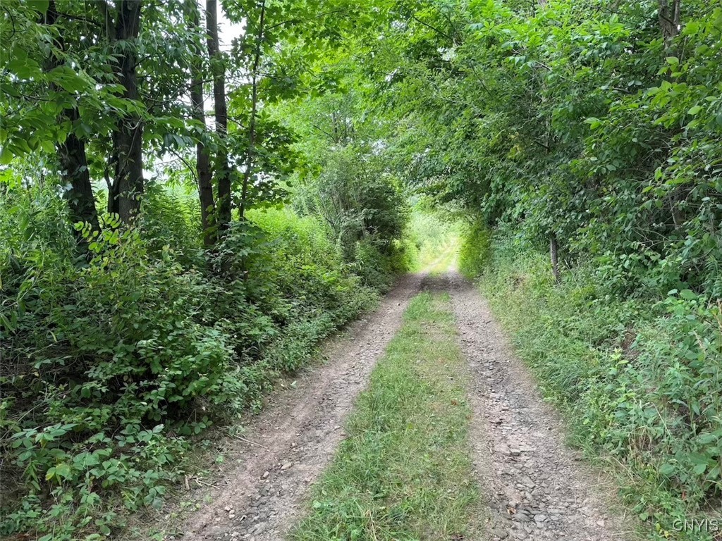 10750 Chapple Stoughton Road Napoli, NY 14772 - Photo 4 of 23