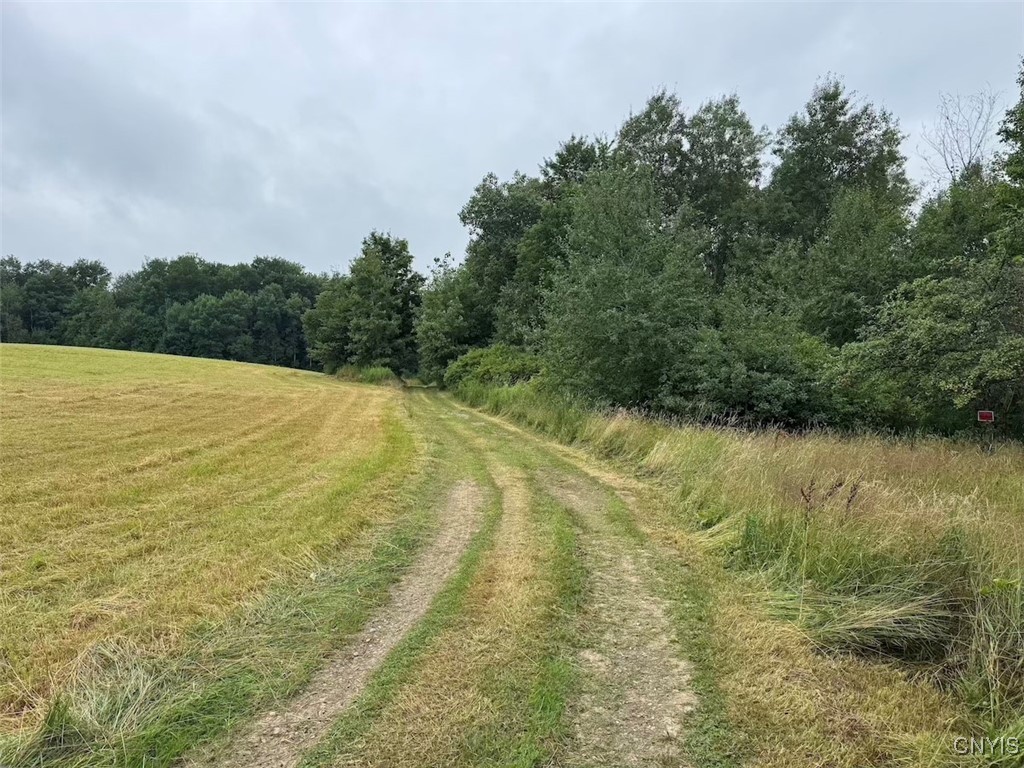 10750 Chapple Stoughton Road Napoli, NY 14772 - Photo 5 of 23