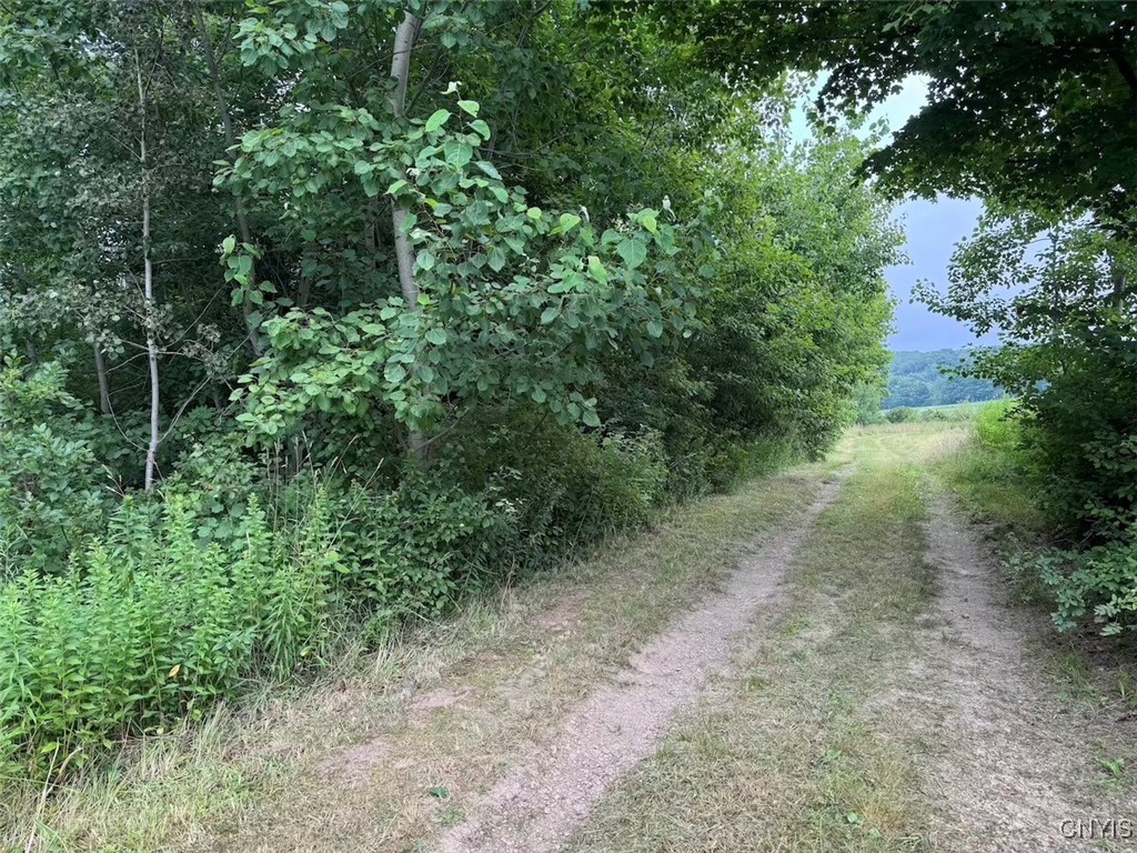 10750 Chapple Stoughton Road Napoli, NY 14772 - Photo 6 of 23