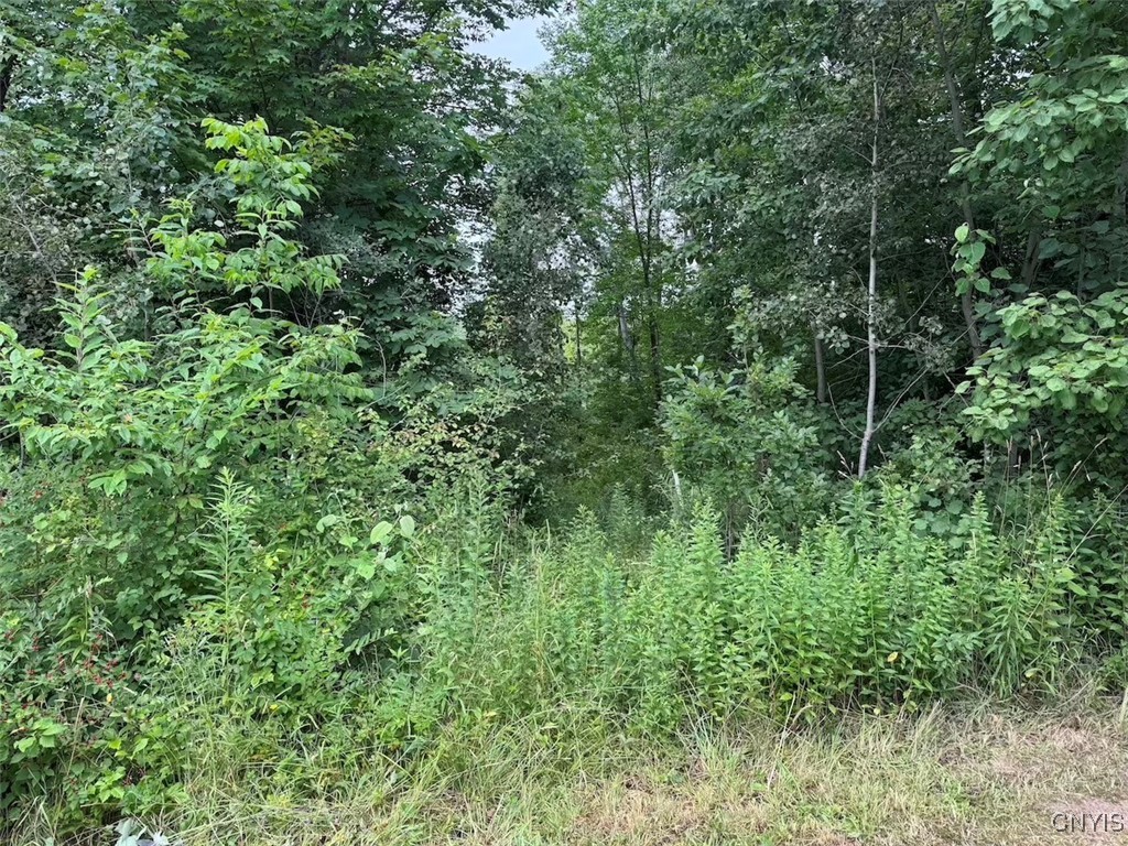 10750 Chapple Stoughton Road Napoli, NY 14772 - Photo 7 of 23