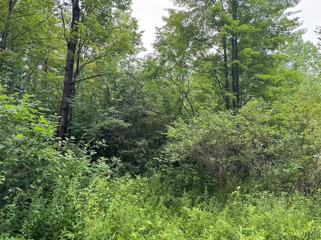 10750 Chapple Stoughton Road Napoli, NY 14772 - Photo 8 of 23