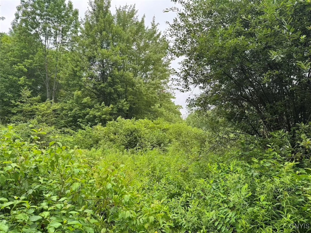 10750 Chapple Stoughton Road Napoli, NY 14772 - Photo 9 of 23