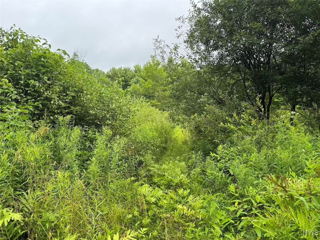 10750 Chapple Stoughton Road Napoli, NY 14772 - Photo 10 of 23