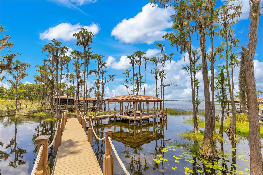 11103 Bridge House Road Windermere, FL 34786 - Photo 3 of 90