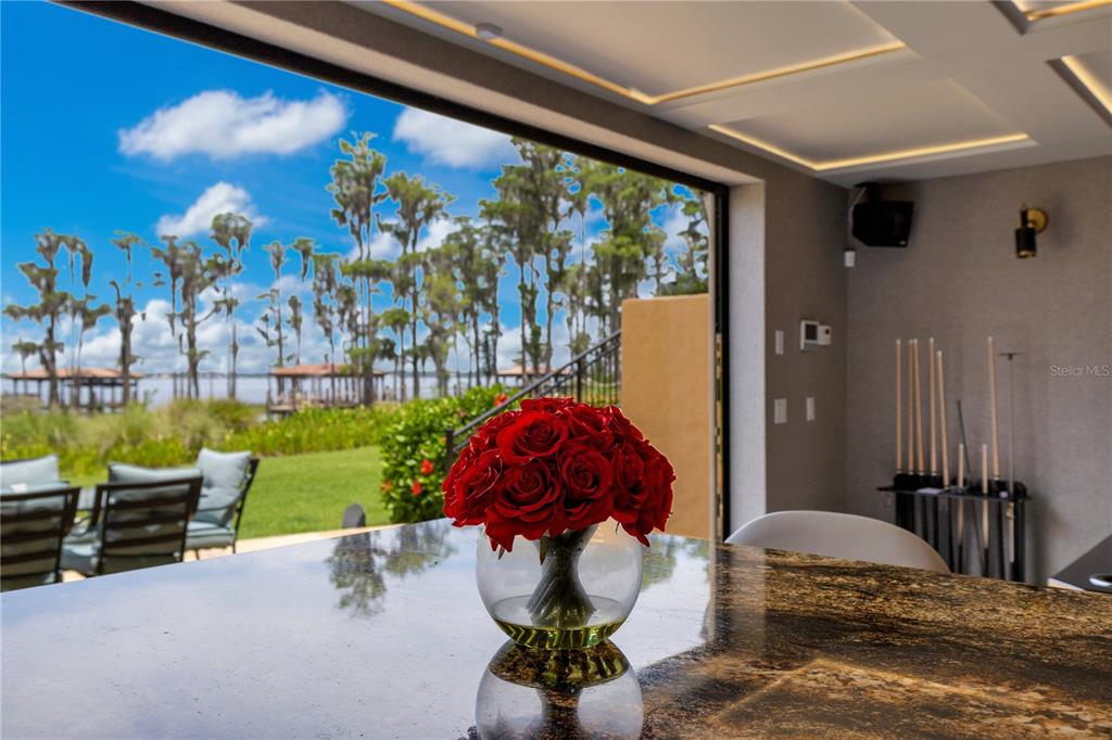 11103 Bridge House Road Windermere, FL 34786 - Photo 63 of 90