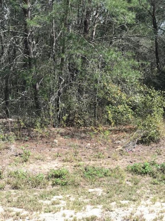 0 Southwest 162nd Street Road Ocala, FL 34473 - Photo 1 of 1