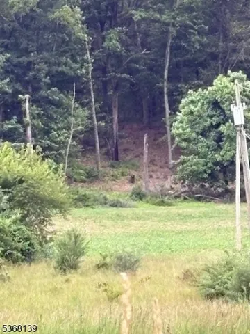 a backyard of a house with lots of green space and garden