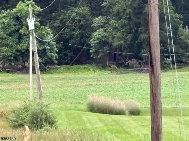 a view of backyard with green space