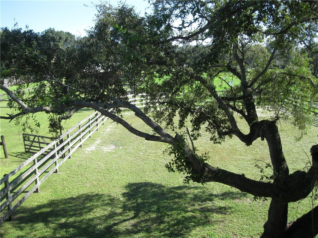 20767 Northeast 10th Path, Unit 20767 Miami, FL 33179 - Photo 22 of 26 a view of a tree