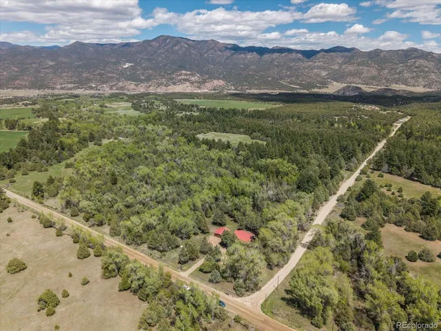 a view of a forest with a mountain