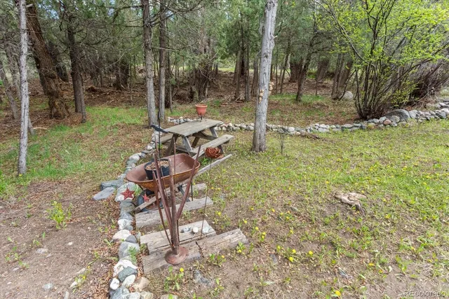 a view of a forest with lots of trees