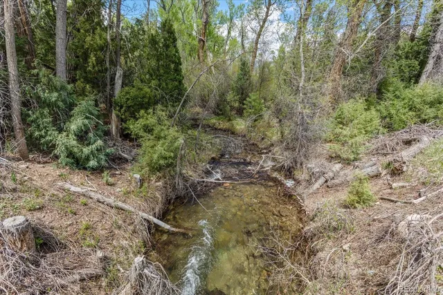 a view of a park with large trees