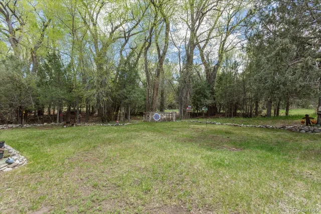 a view of a park with large trees