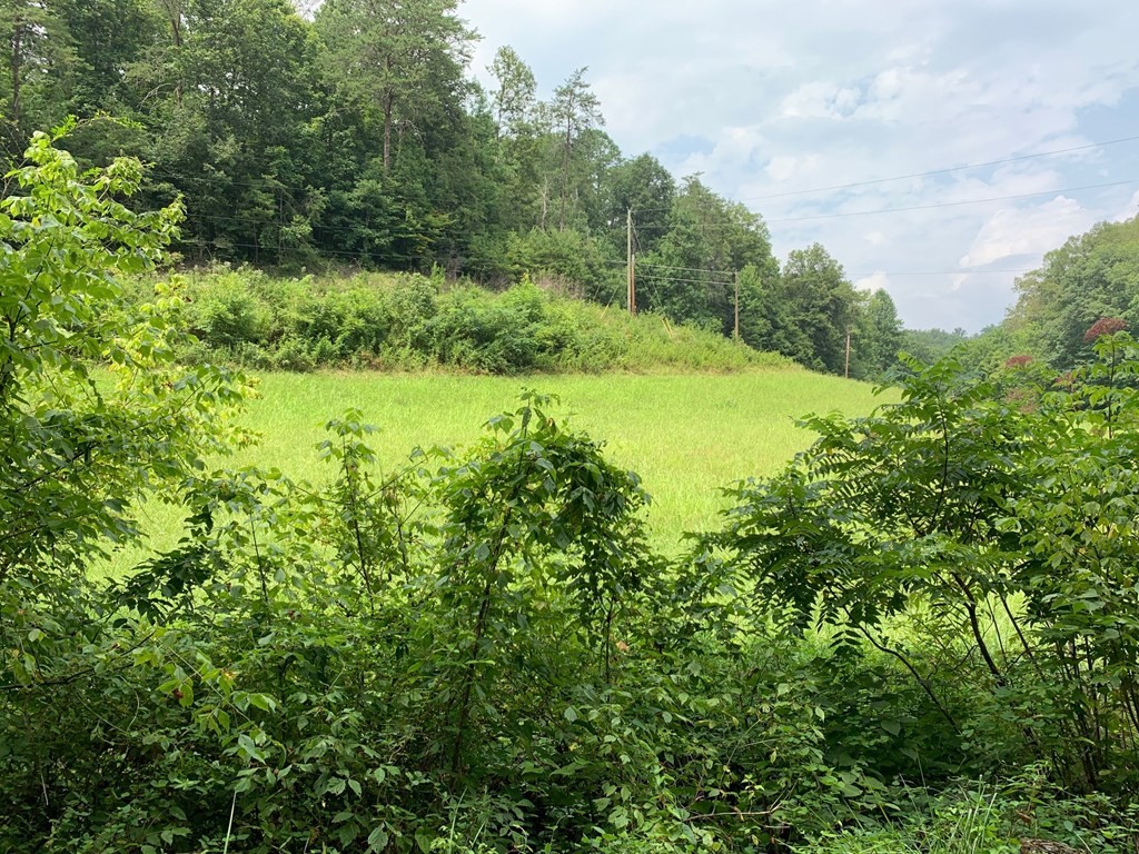 0 Long Branch Road Seymour, TN 37865 - Photo 4 of 5