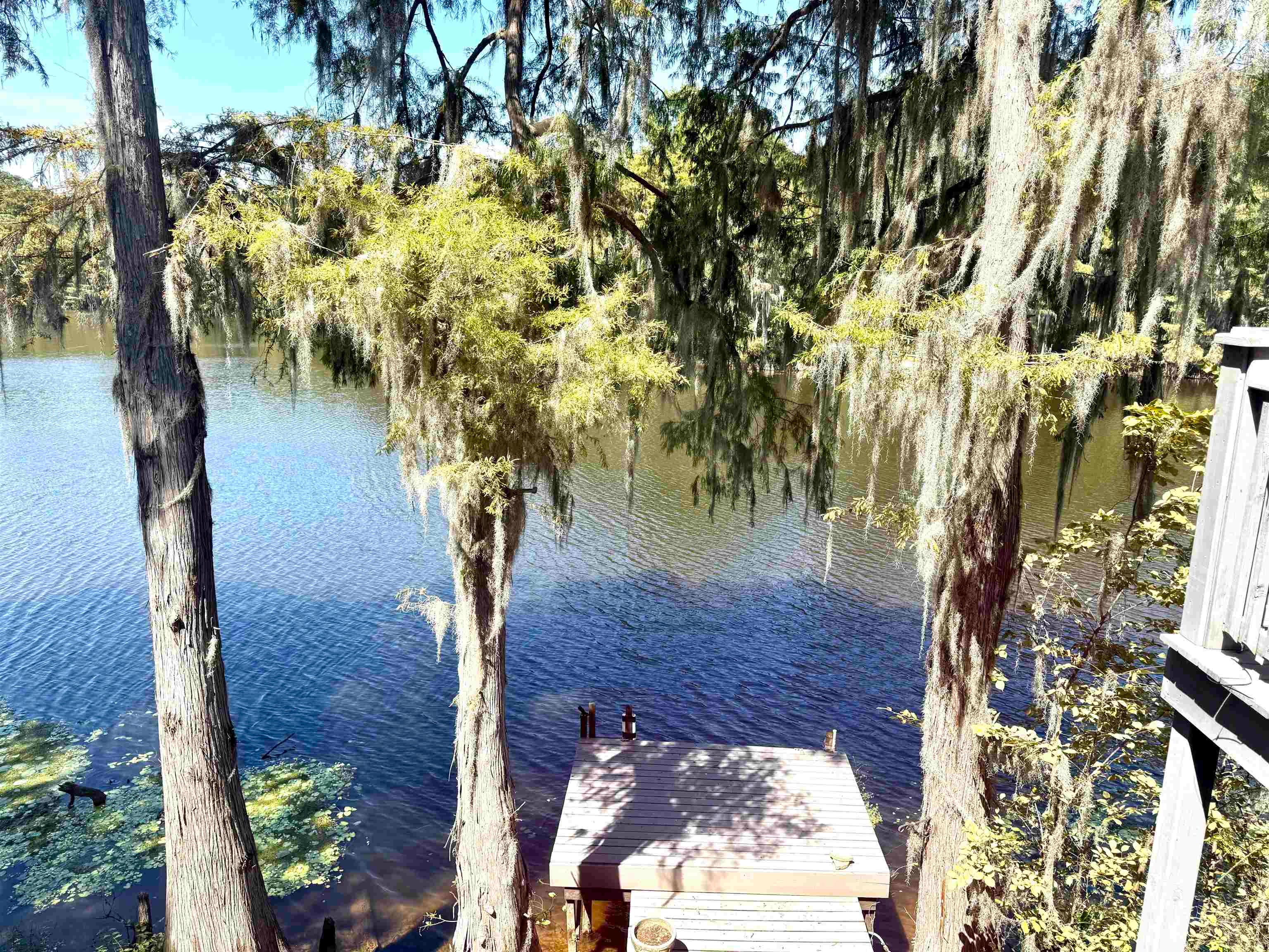 519 Dorough Island Road Karnack, TX 75661 - Photo 10 of 44 Gallery Image 10