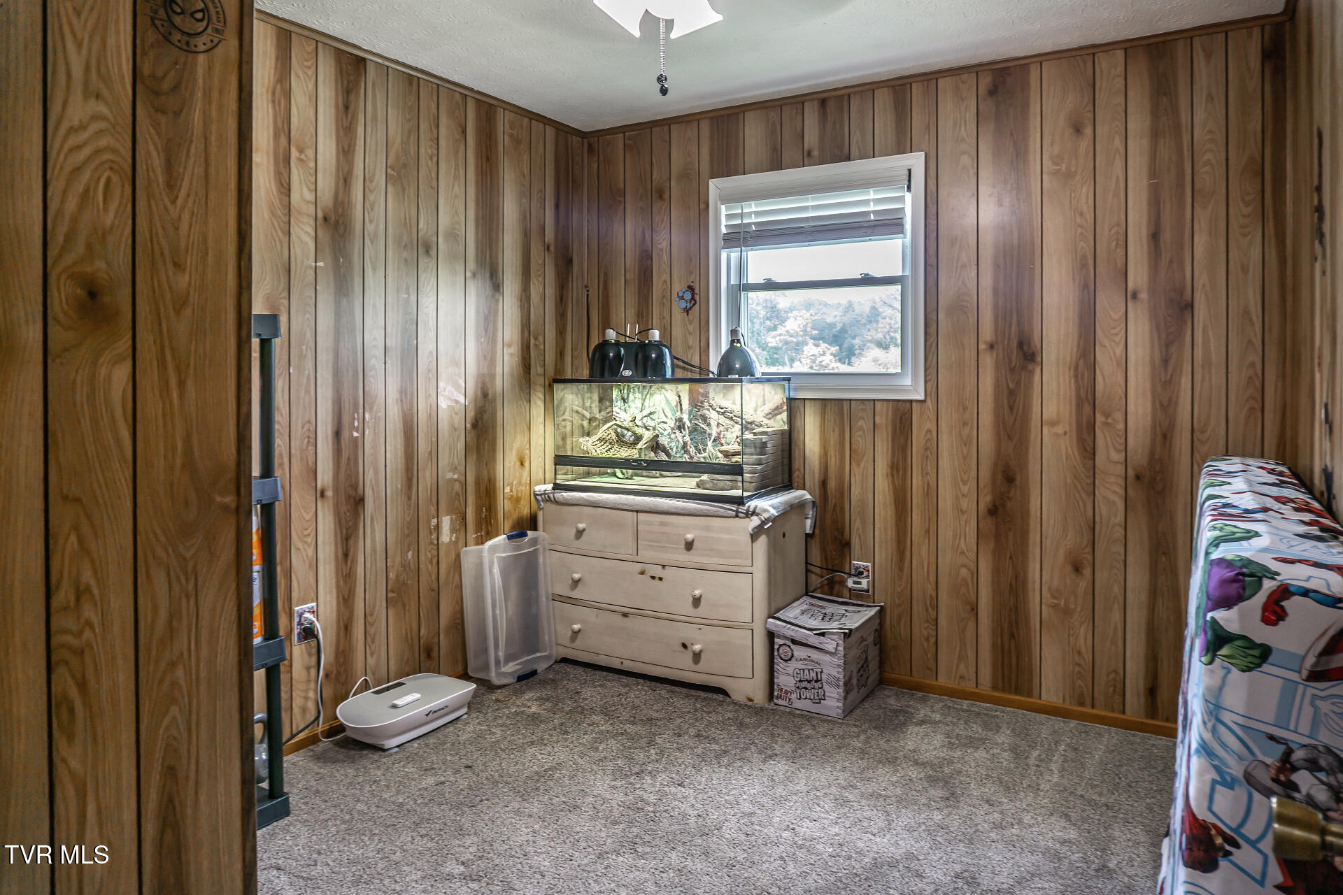 1145 Ricker Road Greeneville, TN 37743 - Photo 34 of 53 1145RickerG_018
