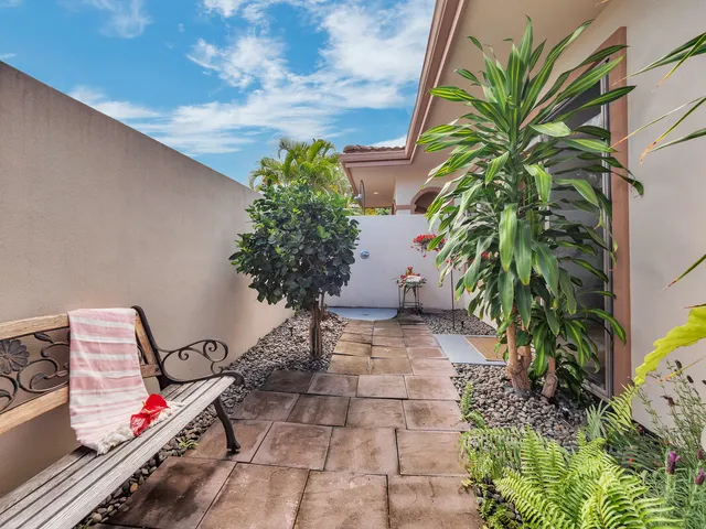 a view of a plant with plants