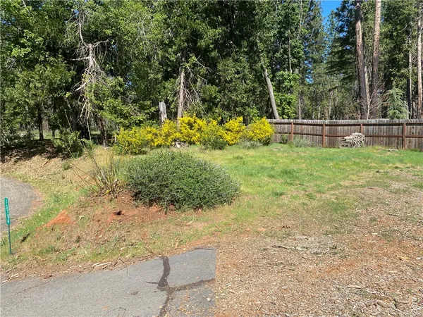 a view of backyard with green space