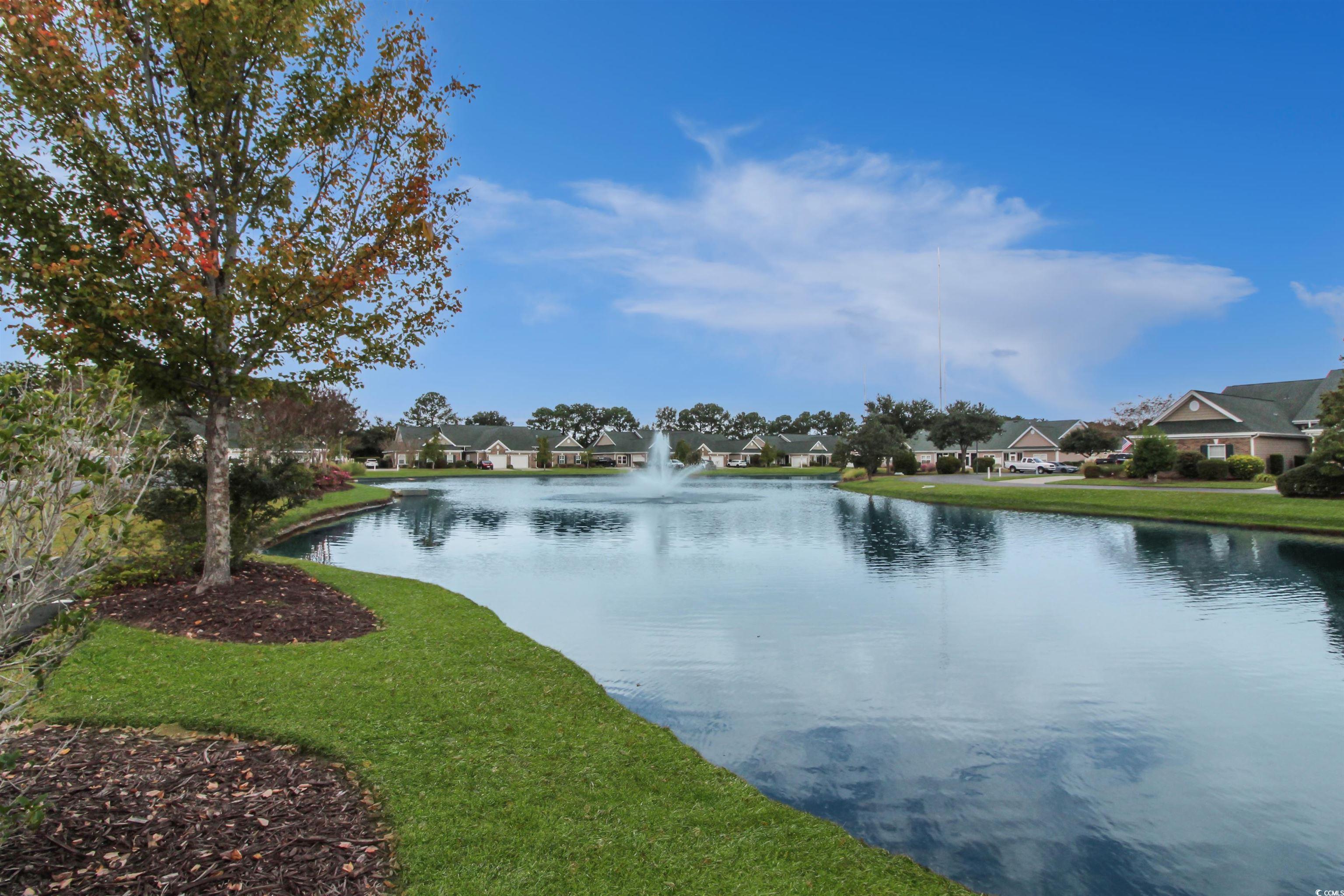 301 Nut Hatch Lane, Unit D Murrells Inlet, SC 29576 - Photo 33 of 40 Water view featuring nearby suburban area
