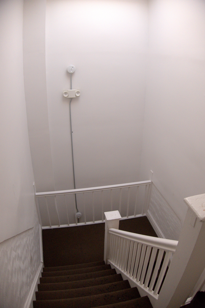 614 North Ridgeway Avenue Chicago, IL 60624 - Photo 8 of 29 Gallery Image 8