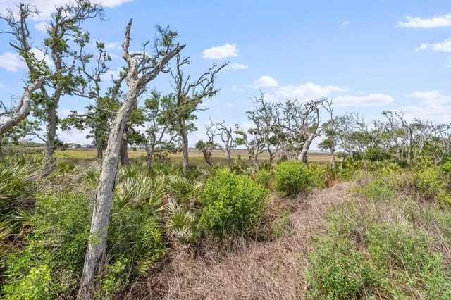 a view of a lake and a yard