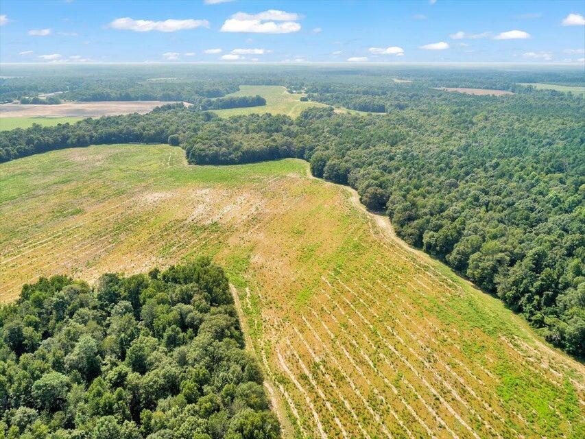 356 Massey-Doss Road Keysville, GA 30816 - Photo 11 of 73 20240904212121611847000000-o