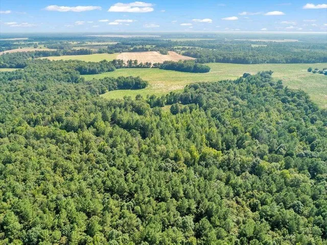 $2,750,000 | 356 Massey-Doss Road, Keysville, GA 30816