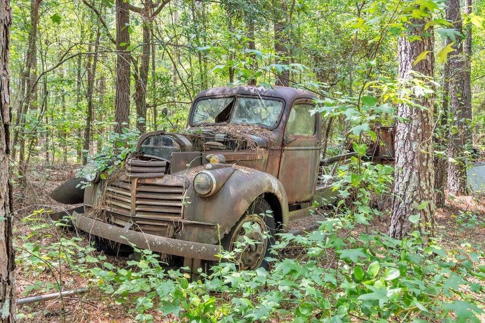 356 Massey-Doss Road Keysville, GA 30816 - Photo 16 of 73 20240904212121612564000000-o