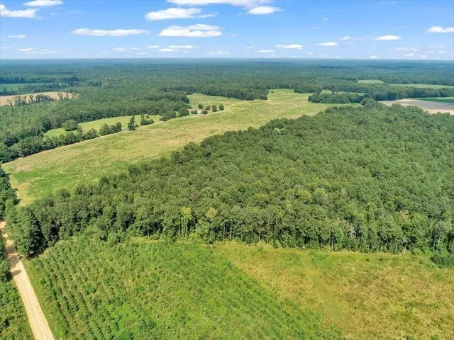 $2,750,000 | 356 Massey-Doss Road, Keysville, GA 30816