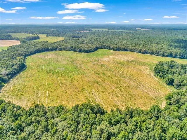 $2,750,000 | 356 Massey-Doss Road, Keysville, GA 30816