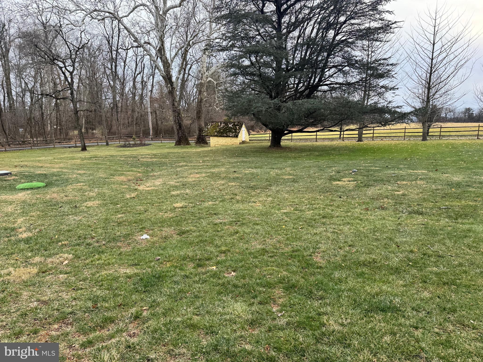 481 West Skippack Pike Blue Bell, PA 19422 - Photo 4 of 11 a view of large trees with a big yard