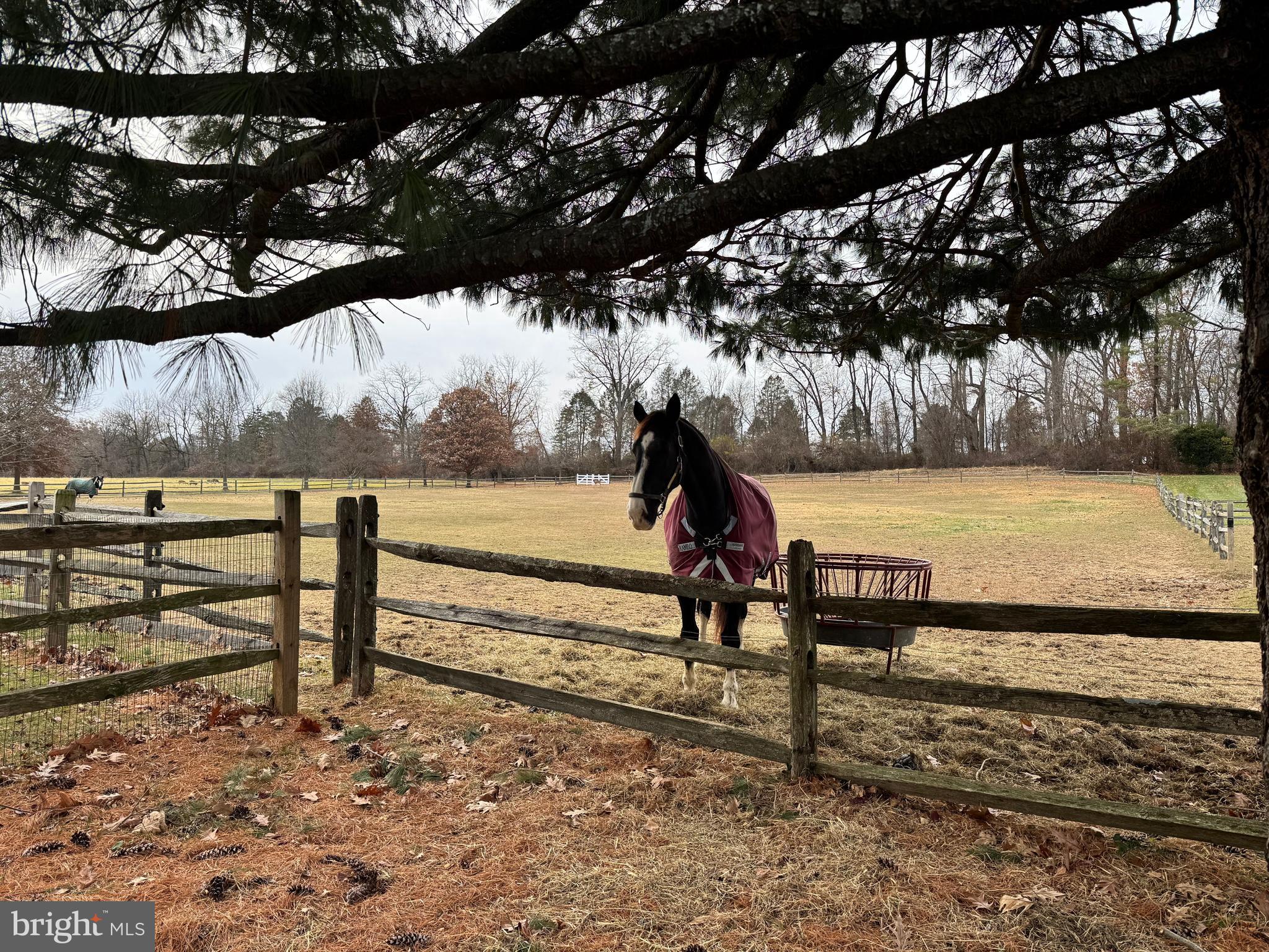 481 West Skippack Pike Blue Bell, PA 19422 - Photo 10 of 11 a view of a lake with outdoor space