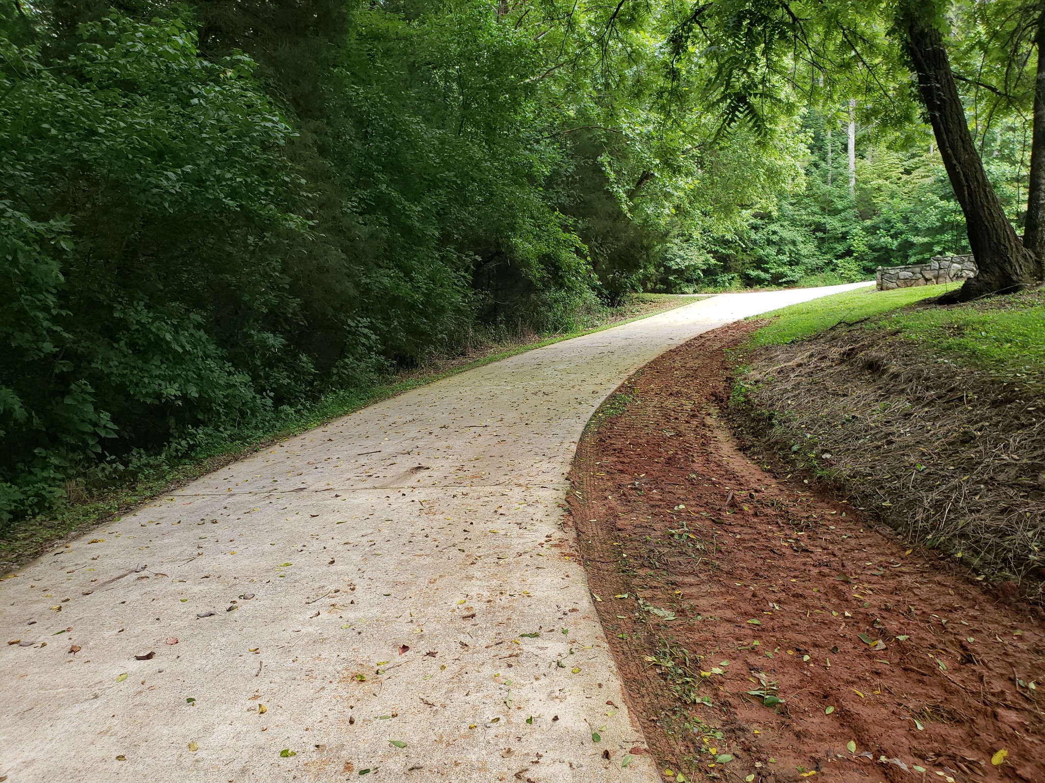 55 Short Creek Road Dellrose, TN 38453 - Photo 27 of 34 a view of a backyard with green space