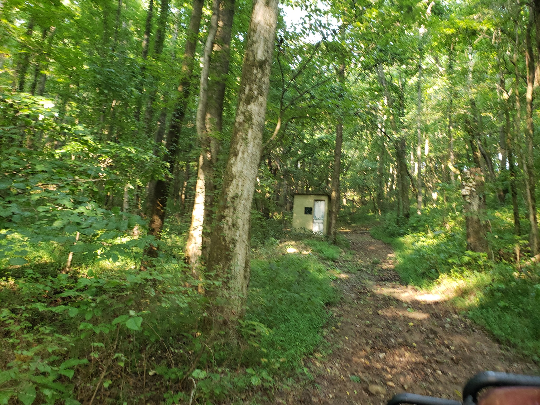 55 Short Creek Road Dellrose, TN 38453 - Photo 29 of 34