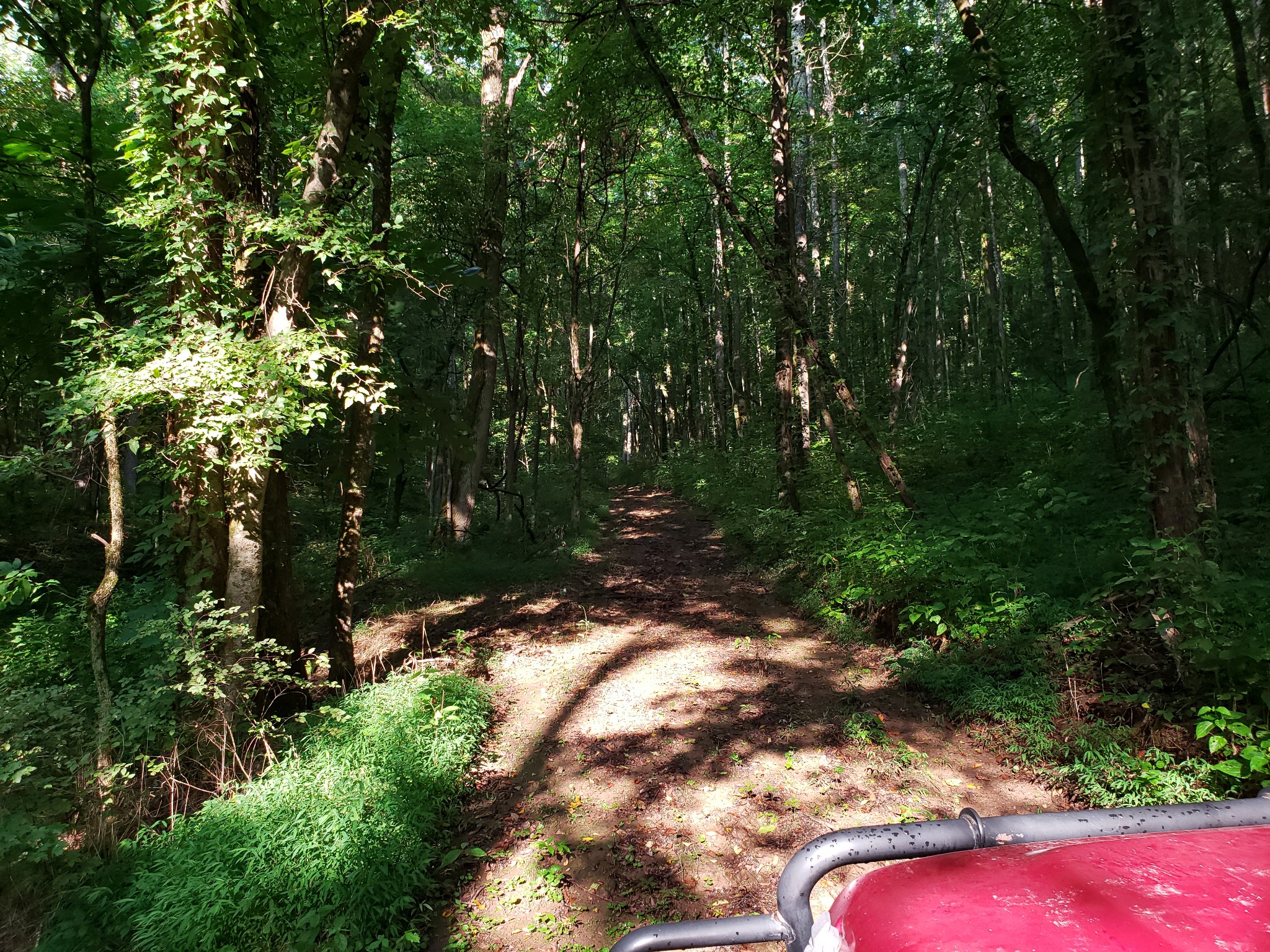 55 Short Creek Road Dellrose, TN 38453 - Photo 30 of 34