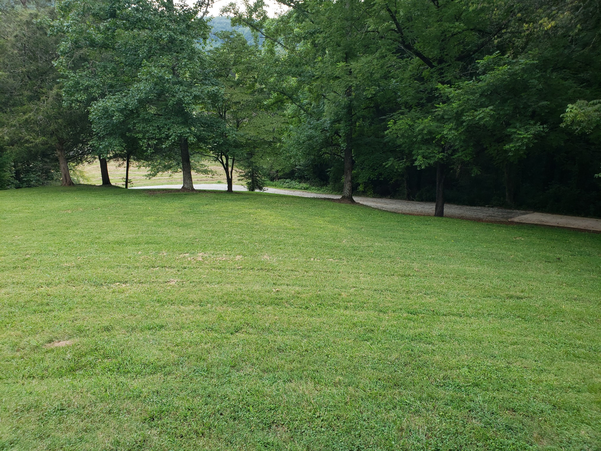 55 Short Creek Road Dellrose, TN 38453 - Photo 4 of 34 a view of green field