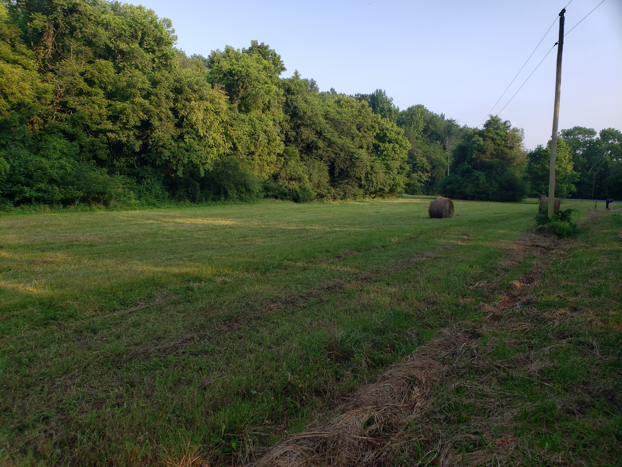 55 Short Creek Road Dellrose, TN 38453 - Photo 31 of 34 a view of grassy field with trees